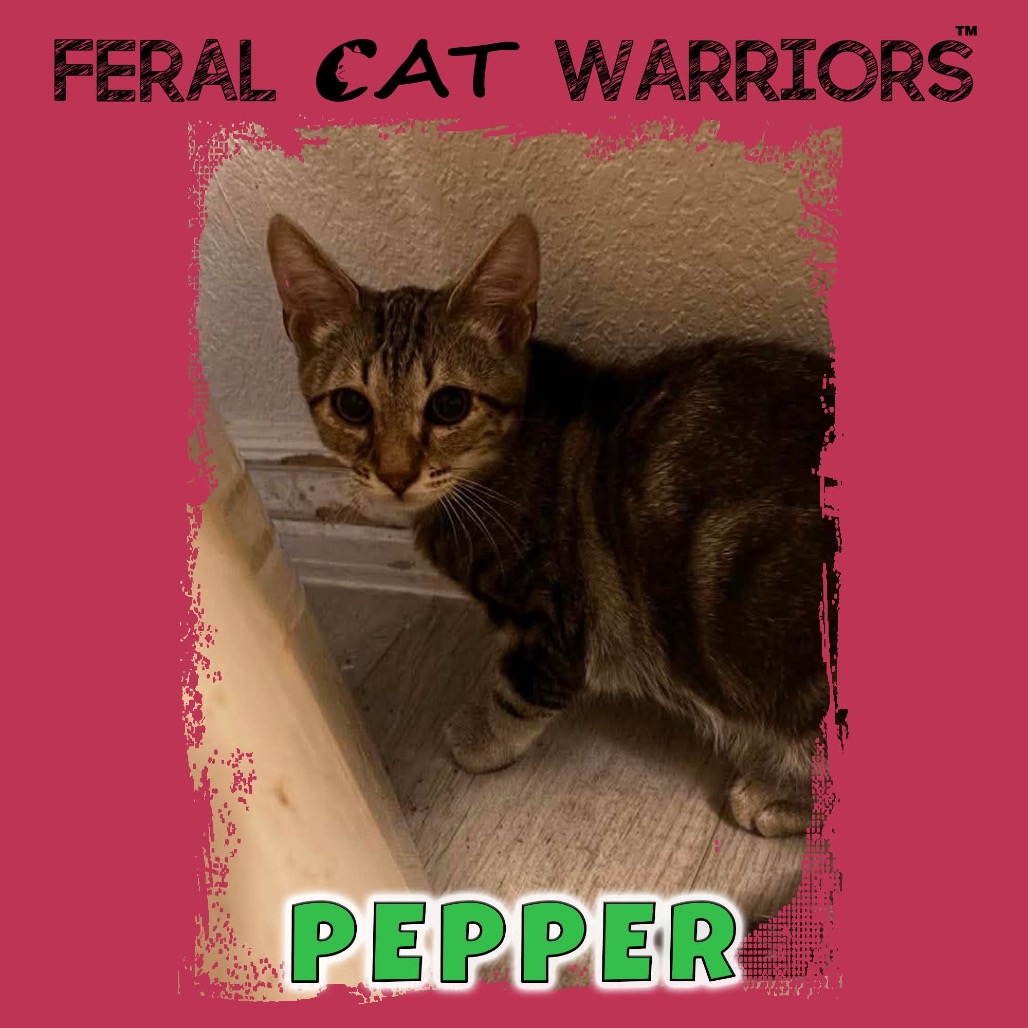 Pepper