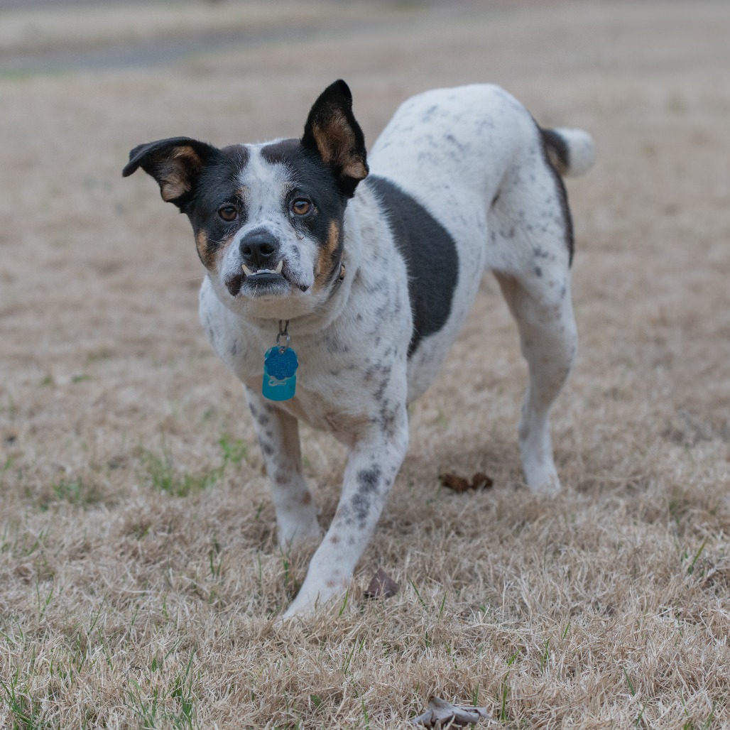 Lilo (Formerly Wish), photo 6