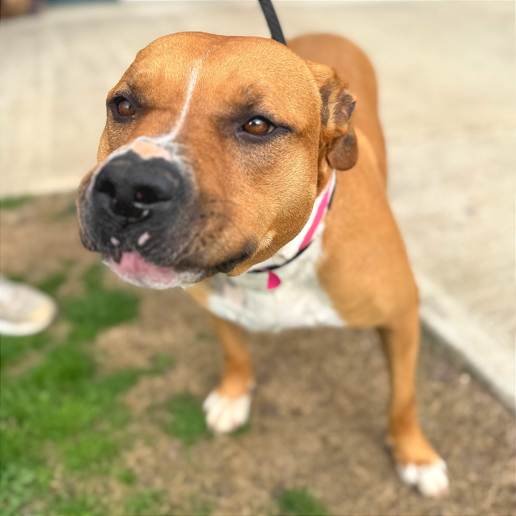 MollyBell — thumbnail 2