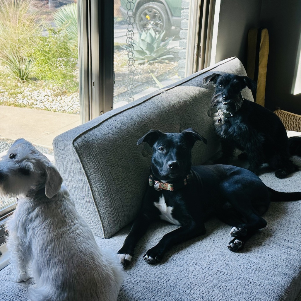 Cello — thumbnail 11