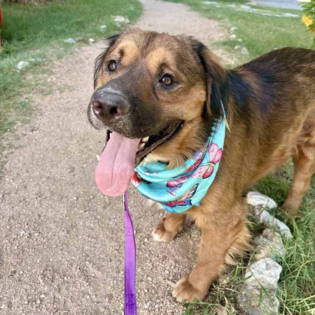 Lane — thumbnail 8