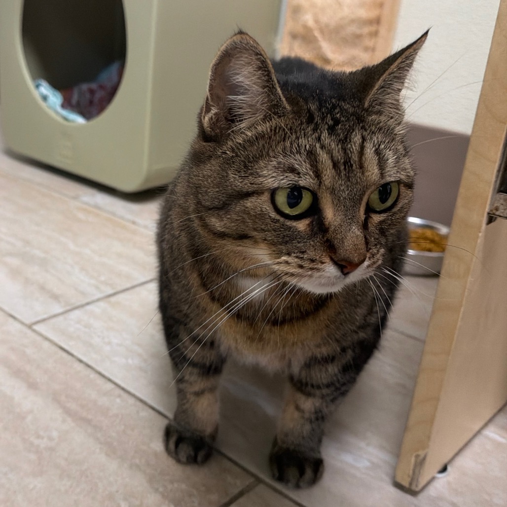 Penelope, photo 10