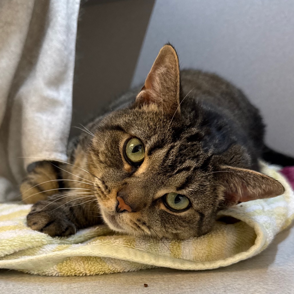 Photo of Phoebe 10