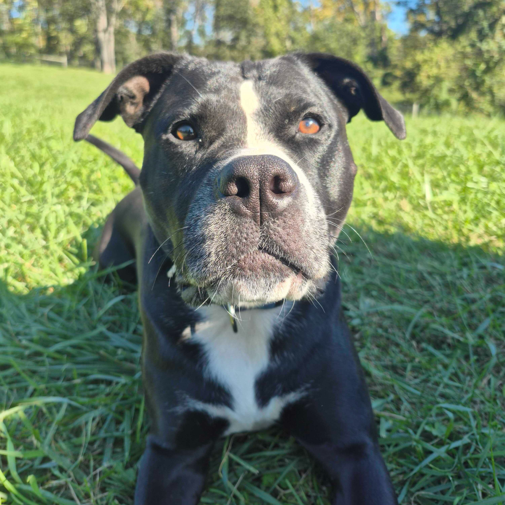 Luna, photo 25
