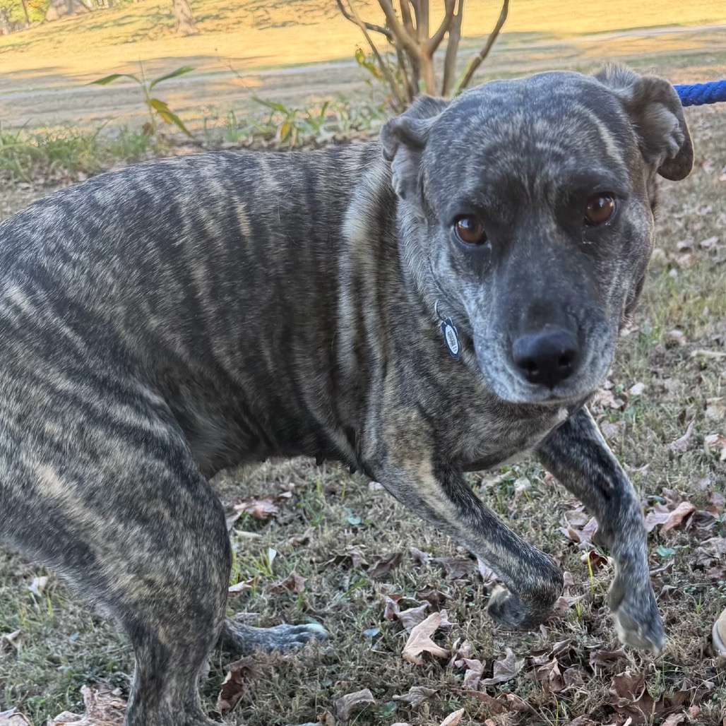 Daisy Duke (Formerly Phoebe), photo 20