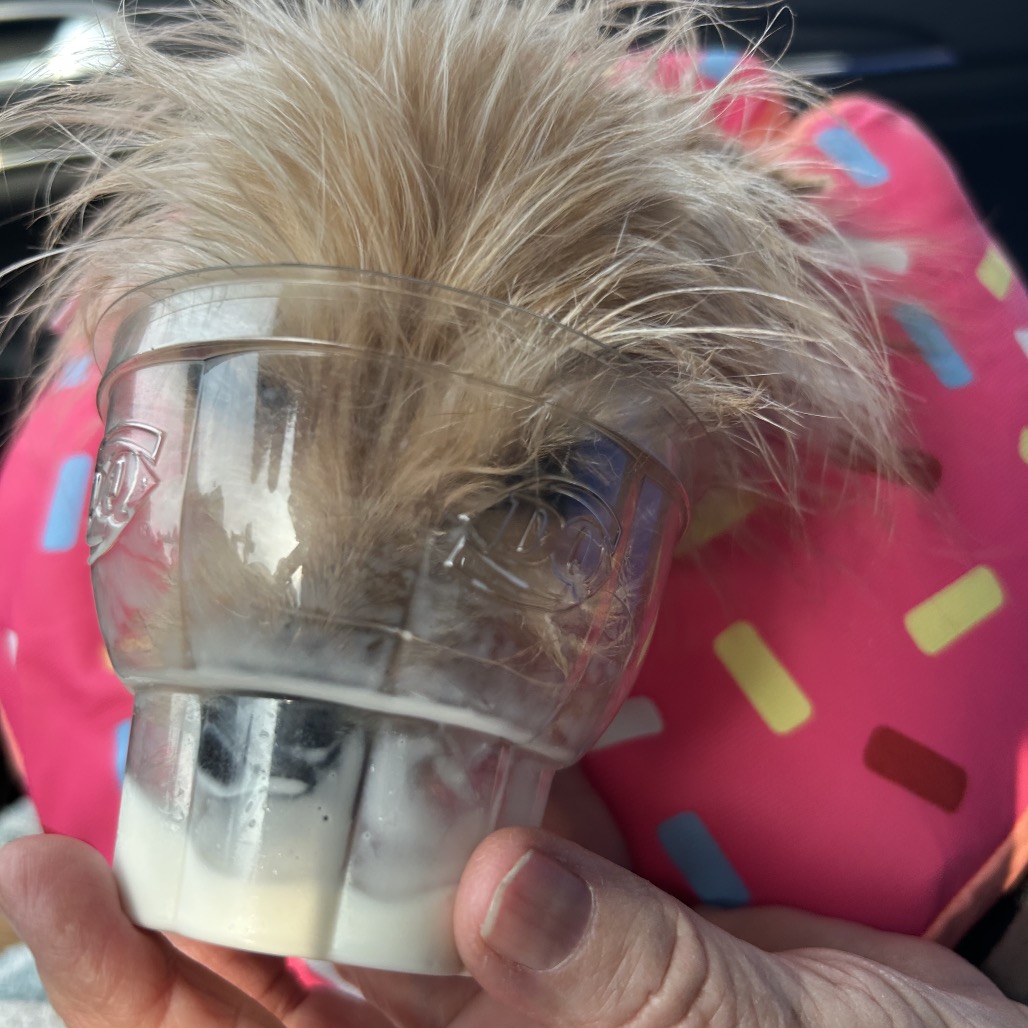 Bye Felicia — thumbnail 7