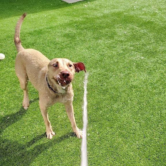 Earthworm Jim — thumbnail 3