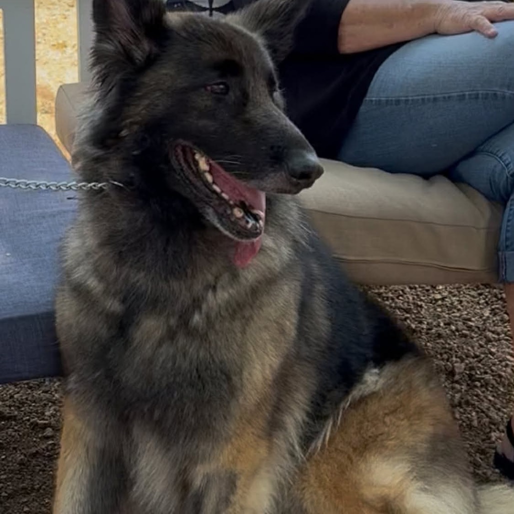 Rose (Roxy), photo 7