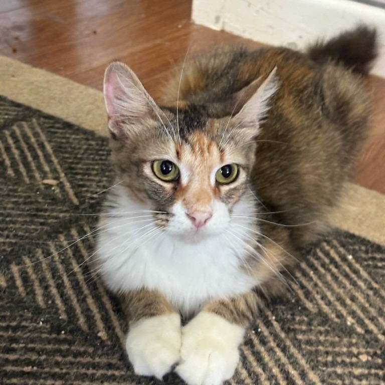 Fiona, photo 2