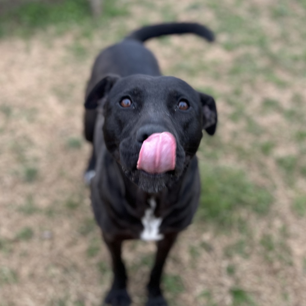 Donut — thumbnail 10