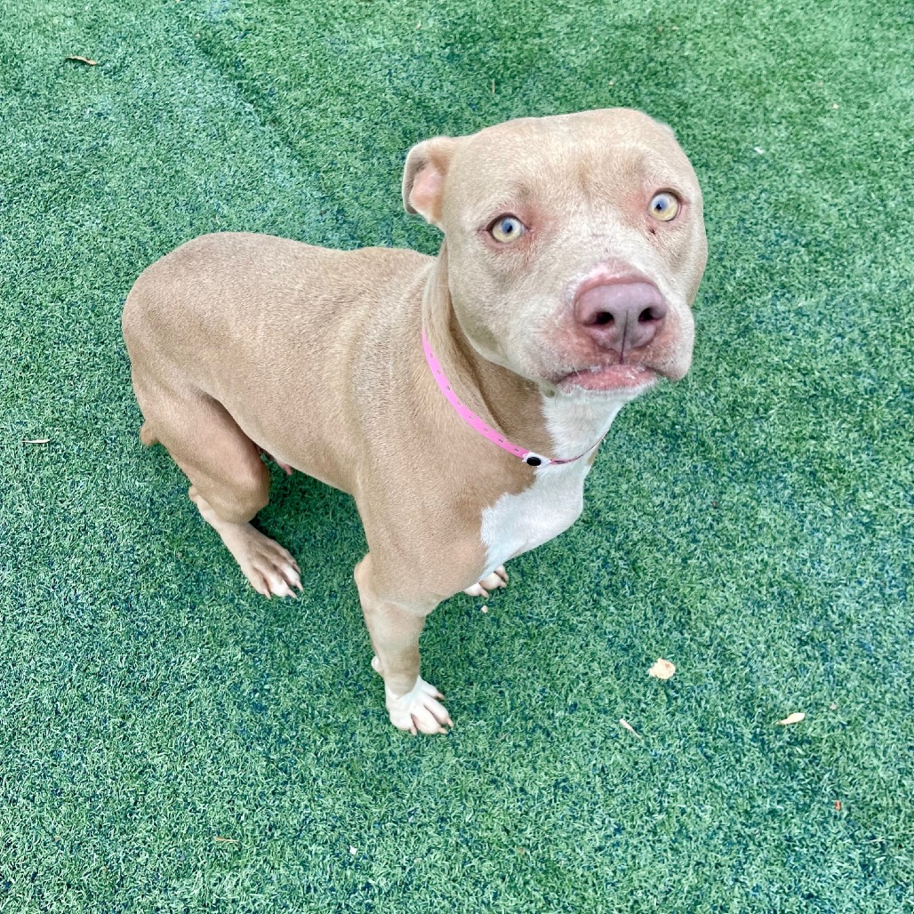 CASSIDY — thumbnail 5