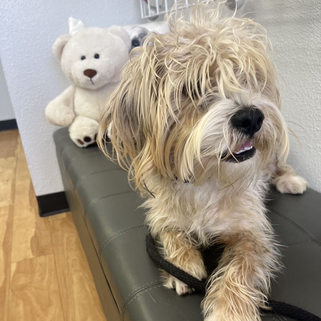 TEDDY, photo 6