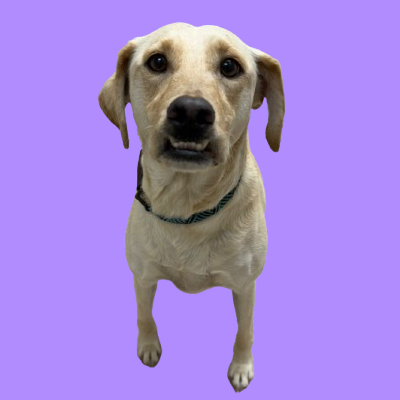 Rosie