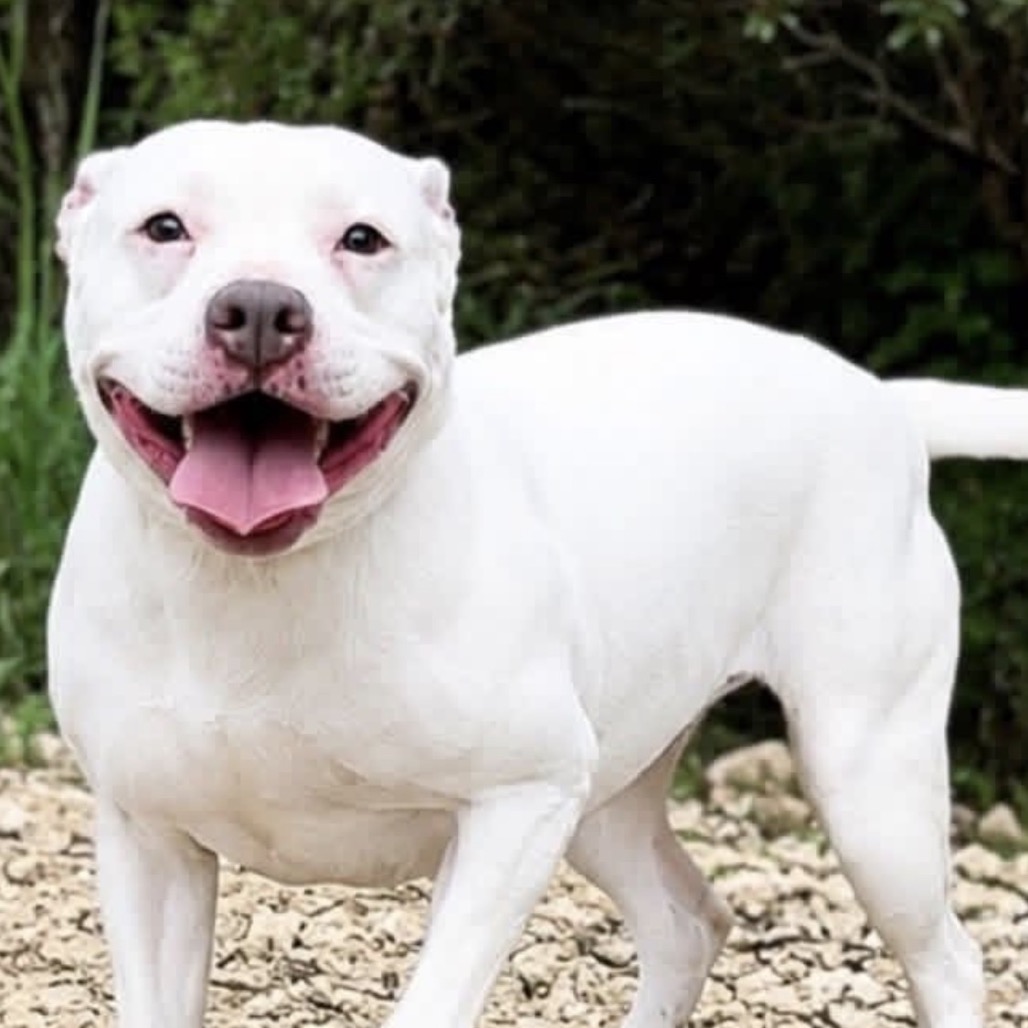 Photo of Penelope"Pinky"