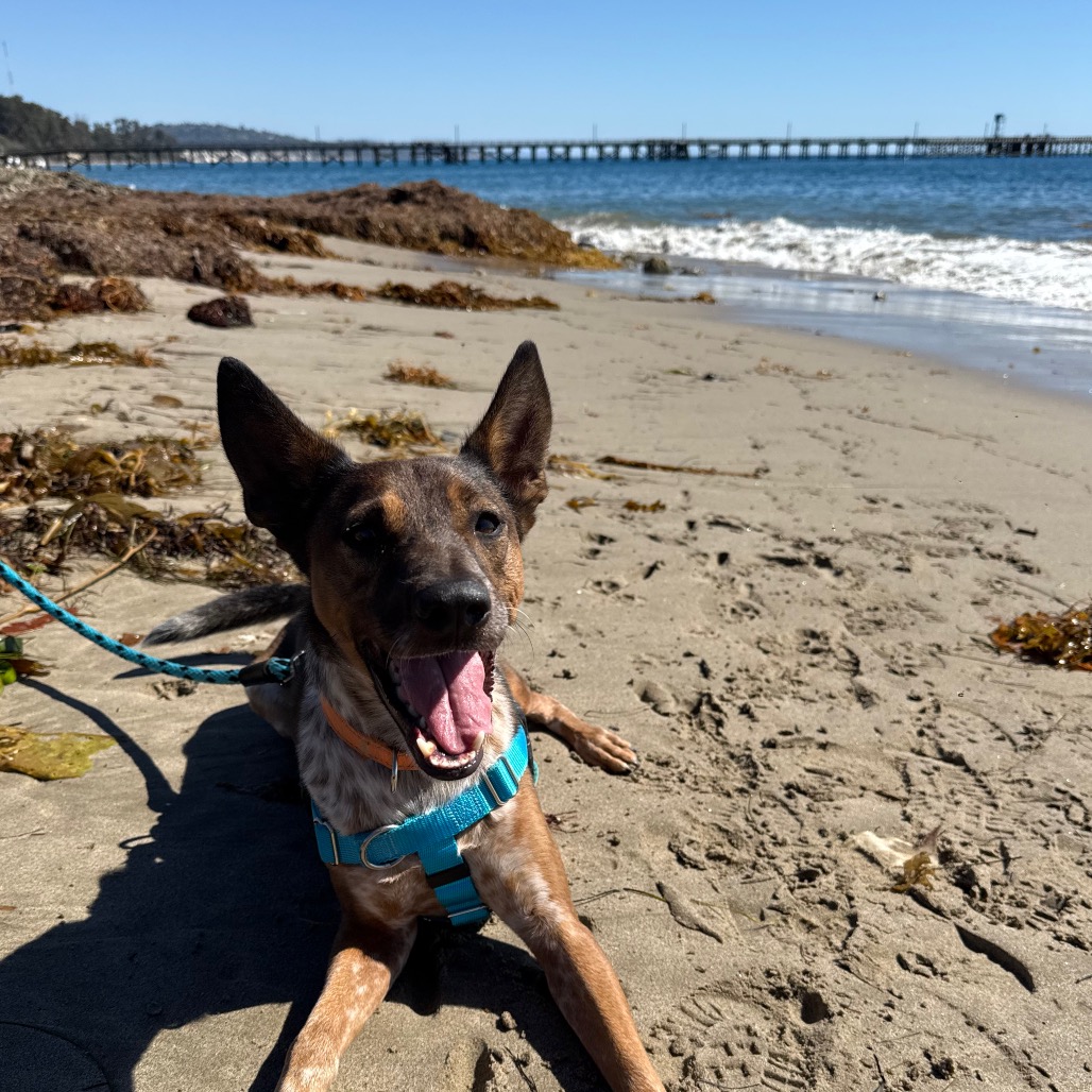 Cash, photo 31