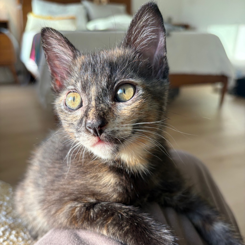 Angela