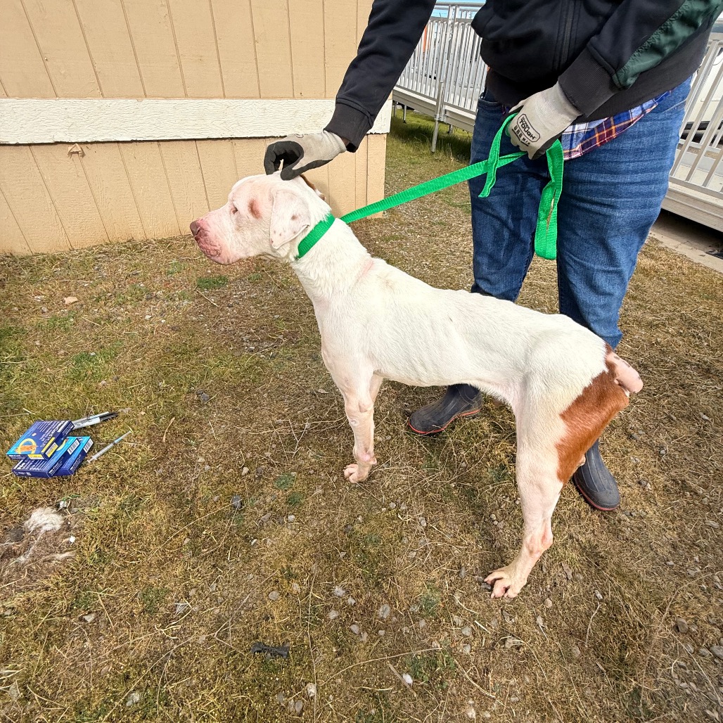 Rock — thumbnail 4