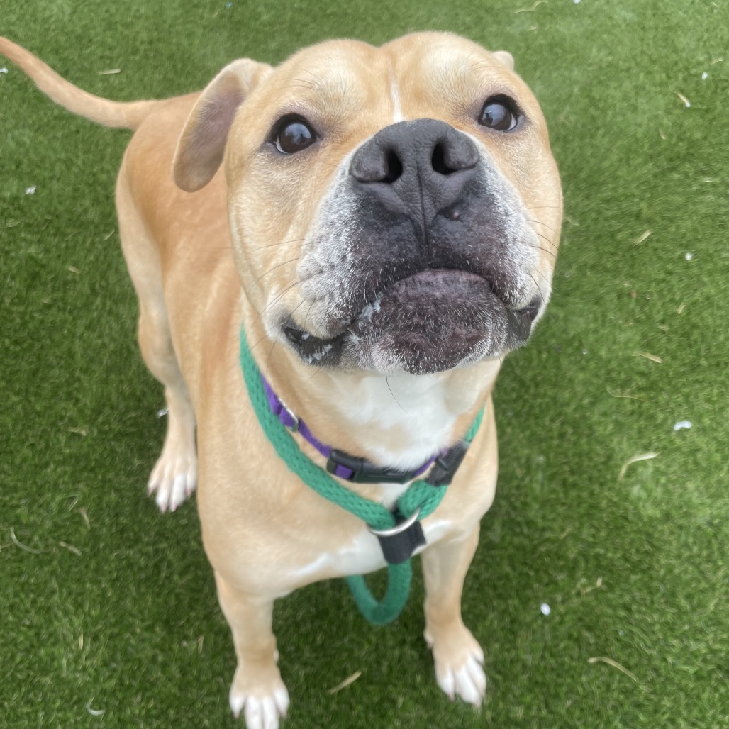 Hercules — thumbnail 4