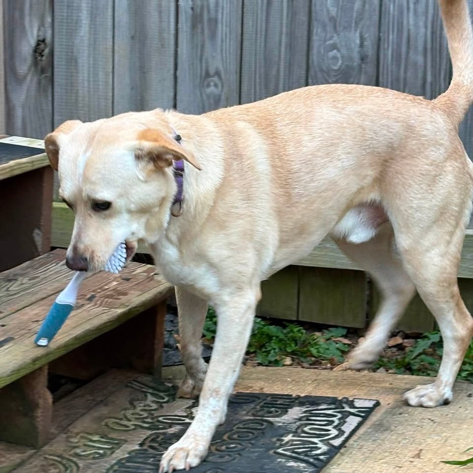 Butter, photo 30