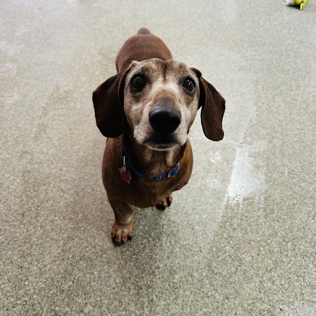 Oscar — thumbnail 5