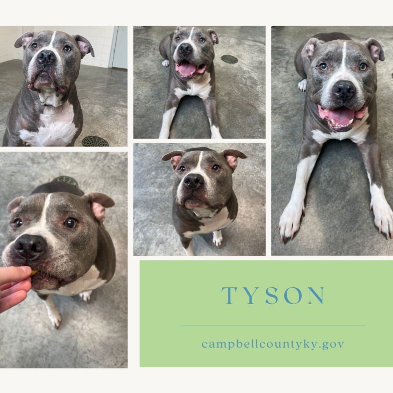 Tyson