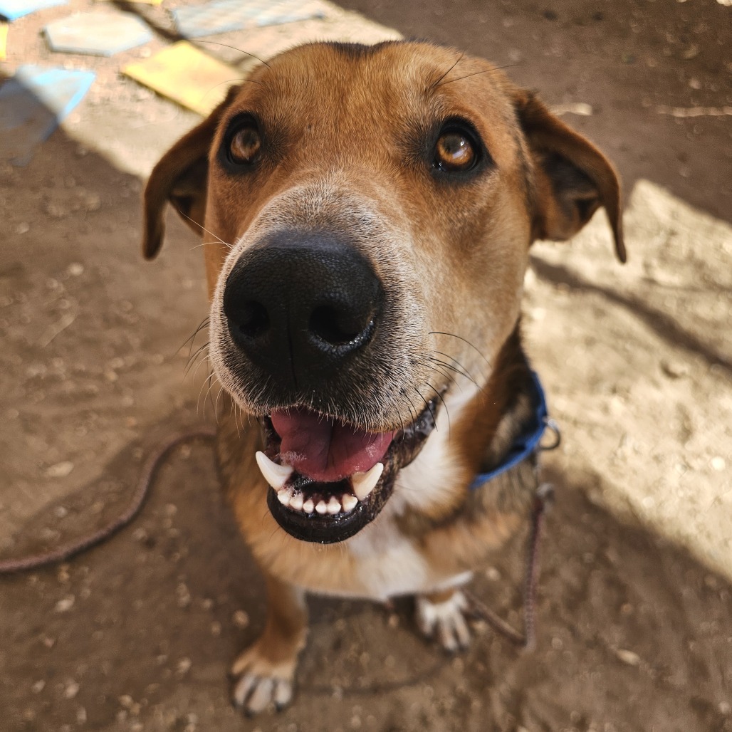 Lenny — thumbnail 11