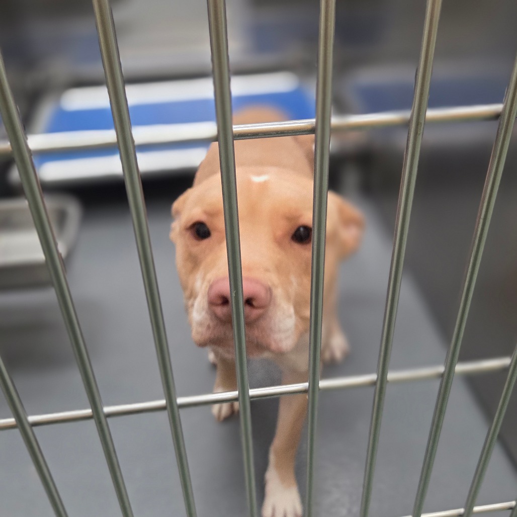 MARLEY — thumbnail 8