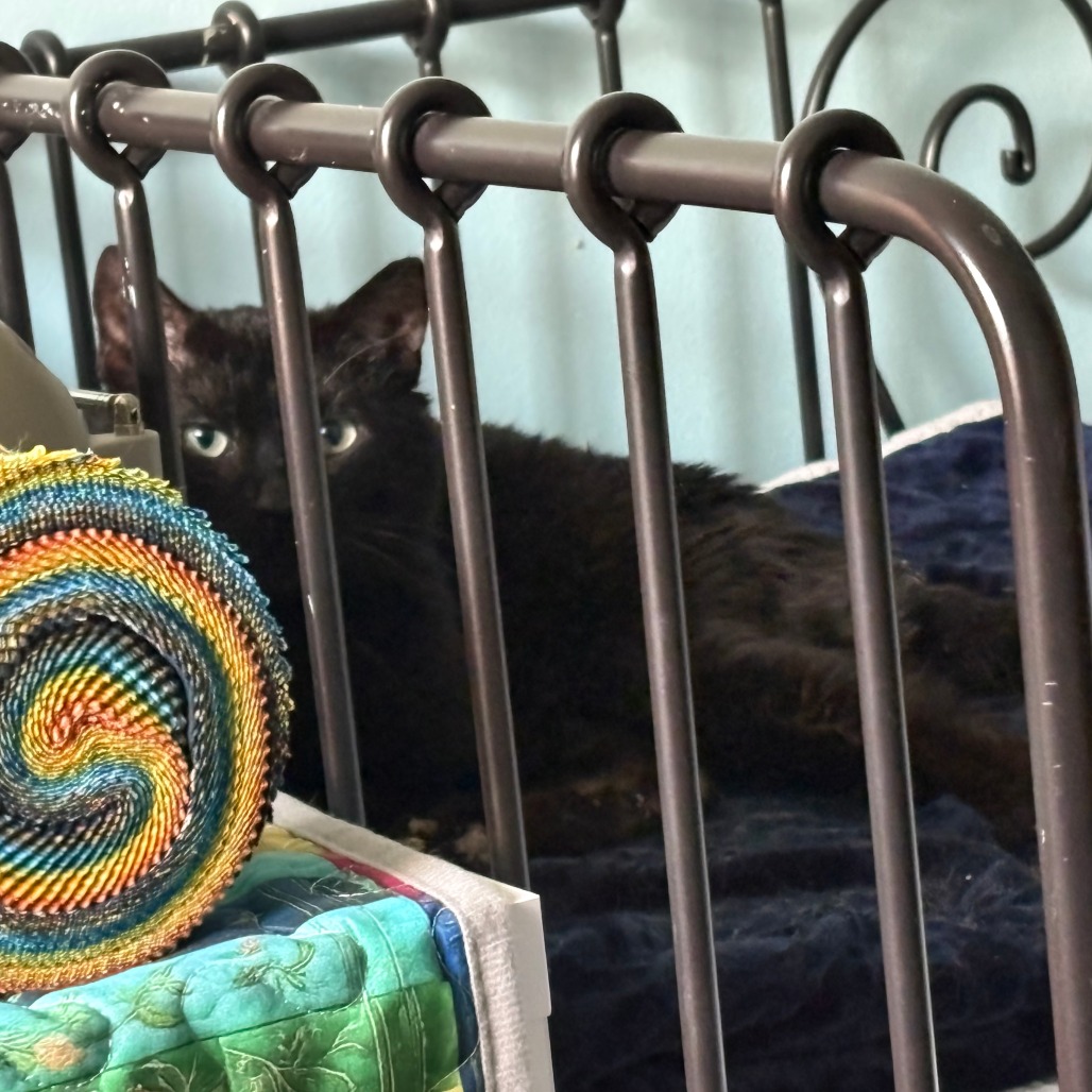 Aaron — thumbnail 3