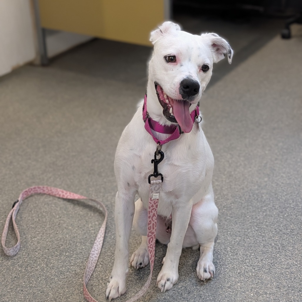 Crystal — thumbnail 3