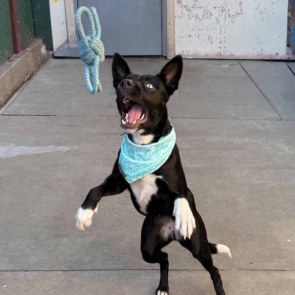 Egypt — thumbnail 4