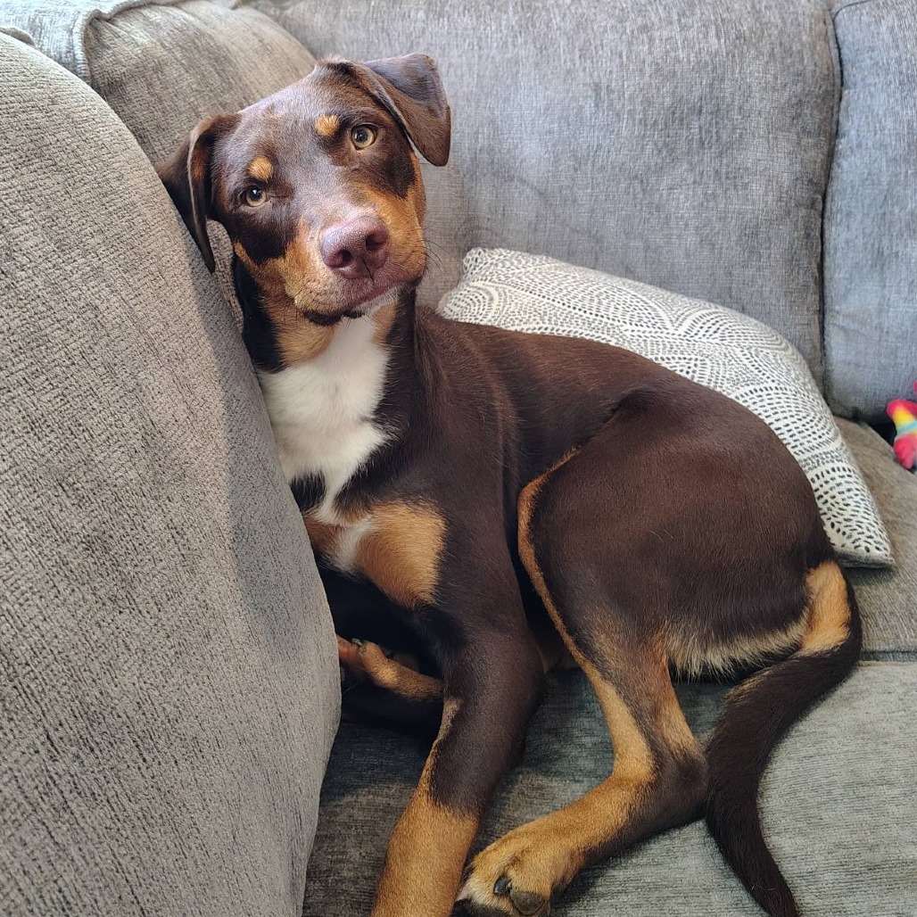 Penny