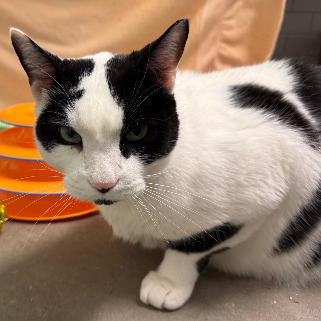 Photo of QZ and Freddy 12