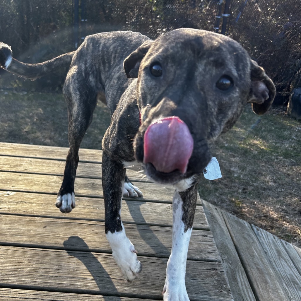 Finley — thumbnail 11