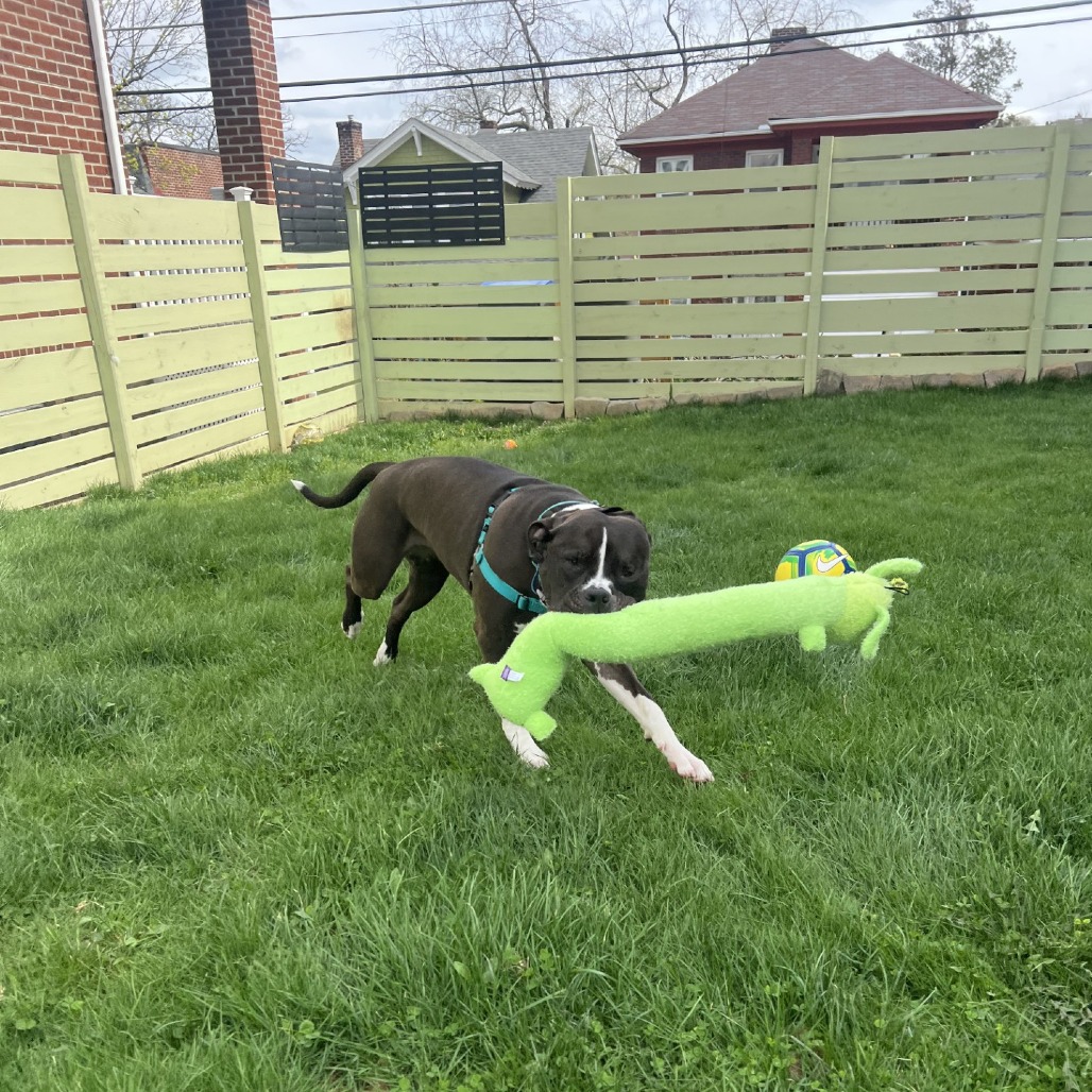 Photo of Sapphire 16