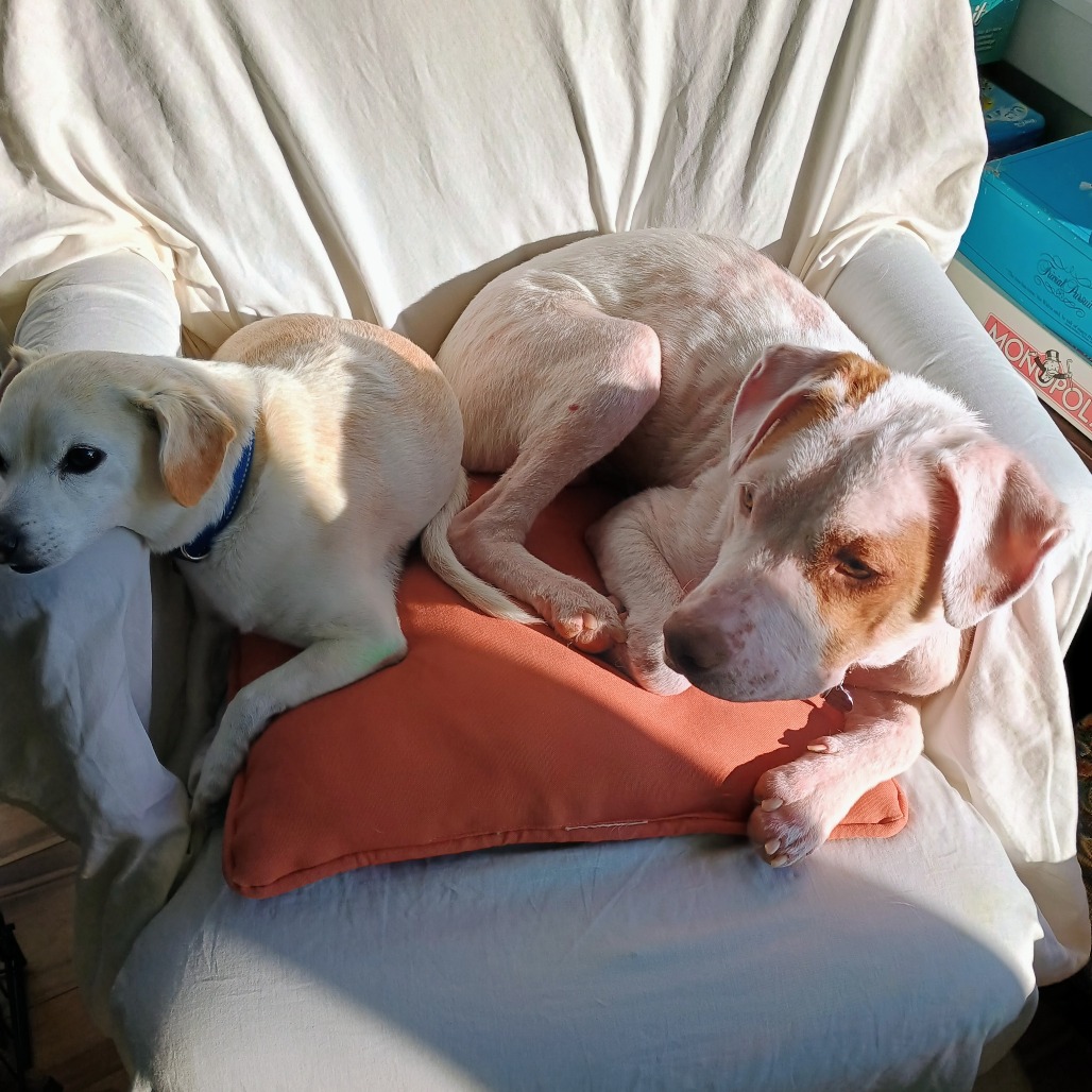 Bruce-Foster, photo 3