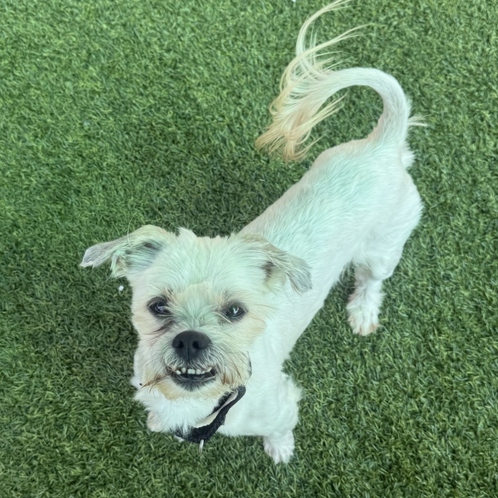 Photo of Alf 5