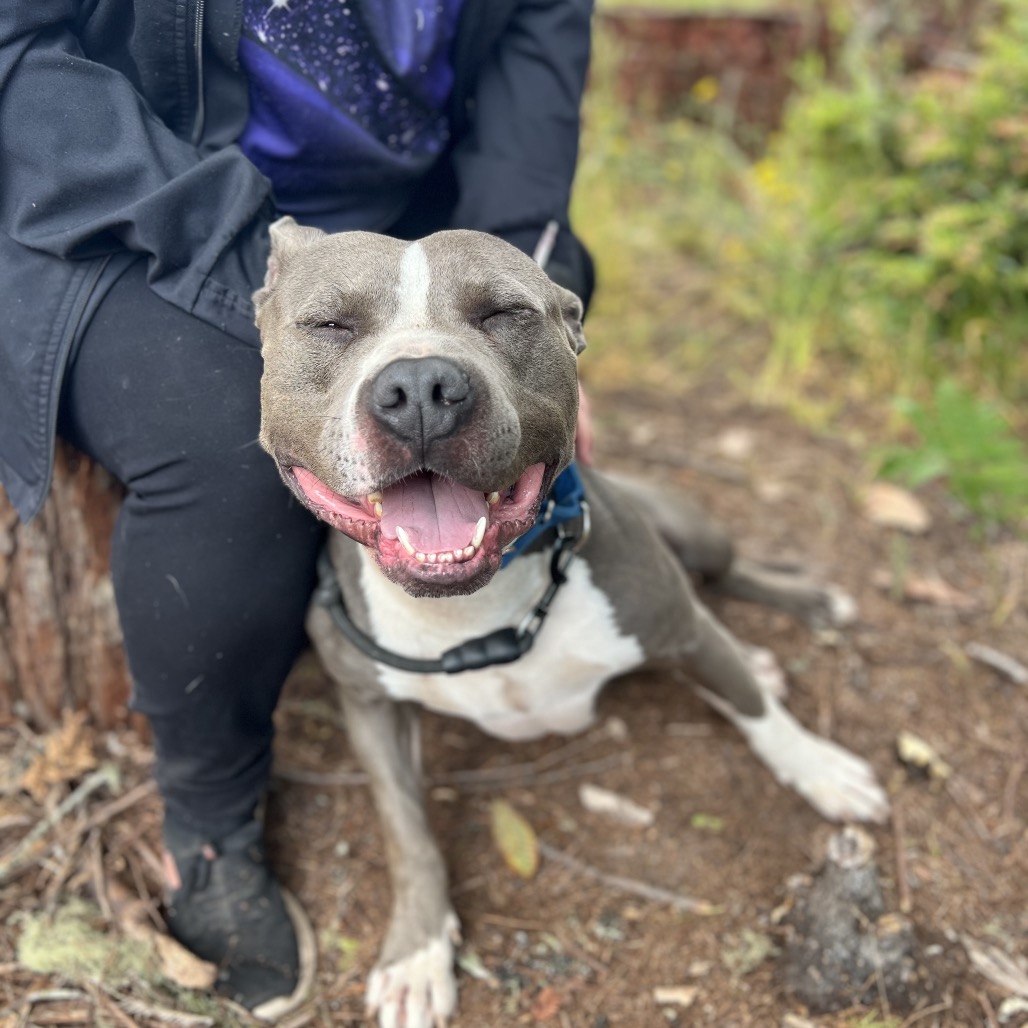 Smokey — thumbnail 4