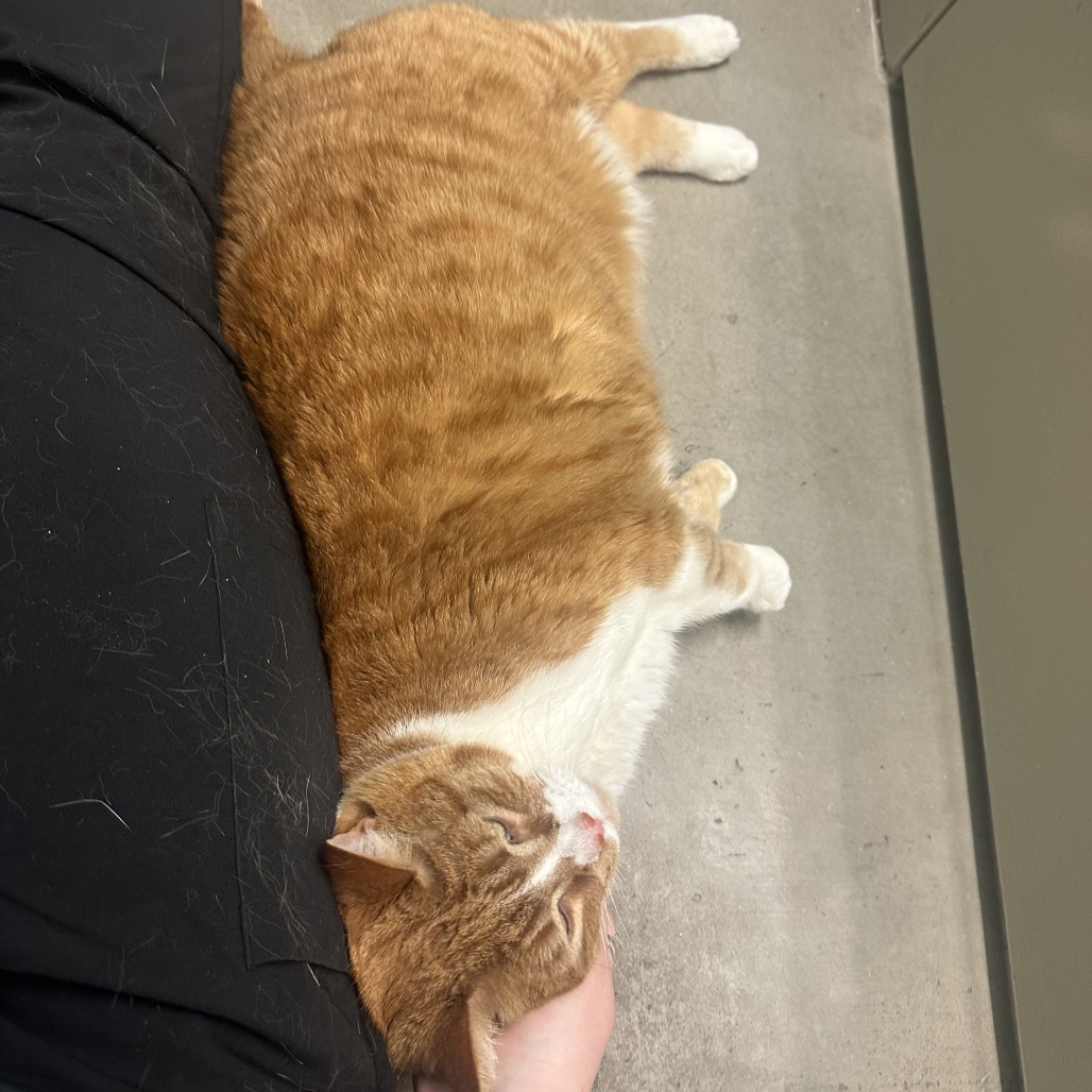 Photo of Freddy and QZ 20