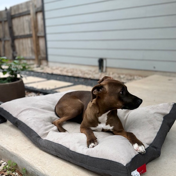 Lucielle — thumbnail 6