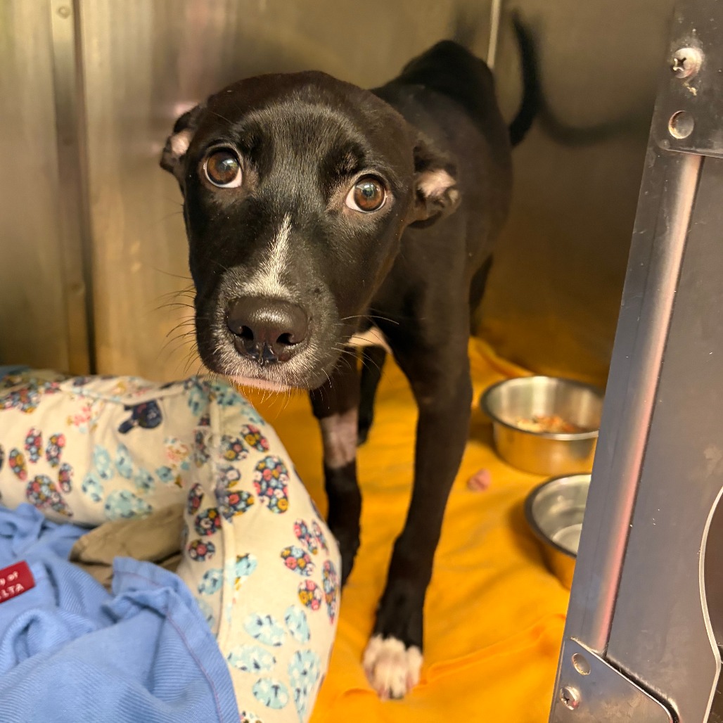 Keke — thumbnail 7