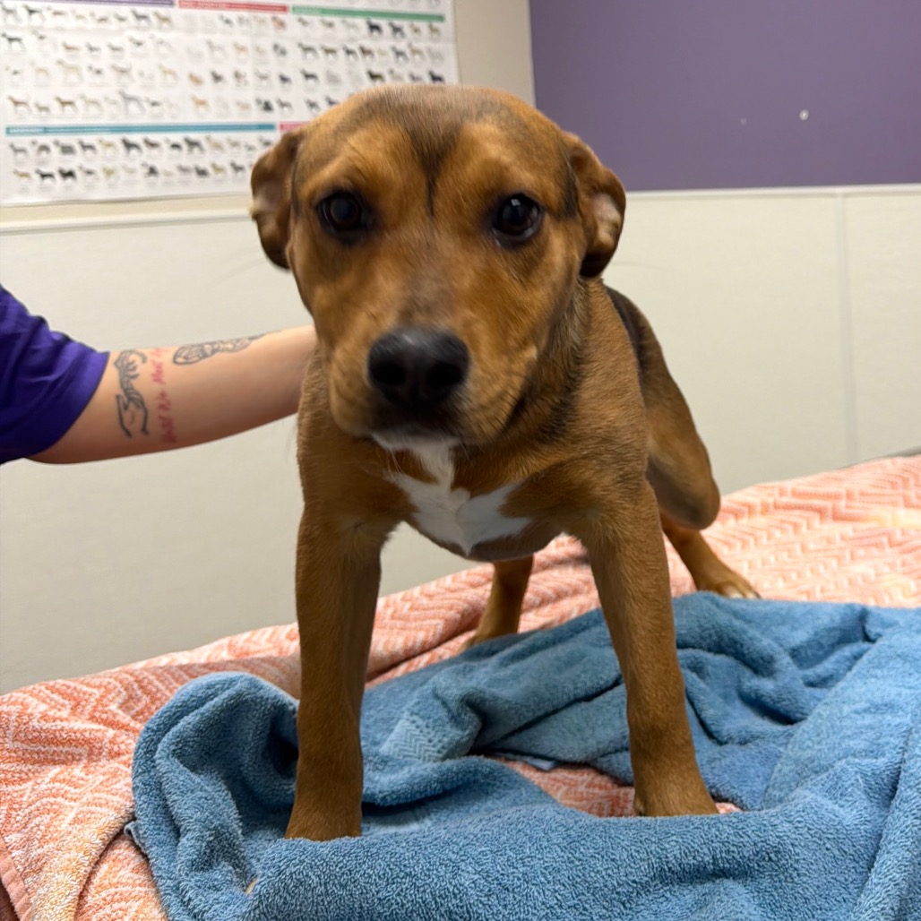 Santa Fe — thumbnail 2