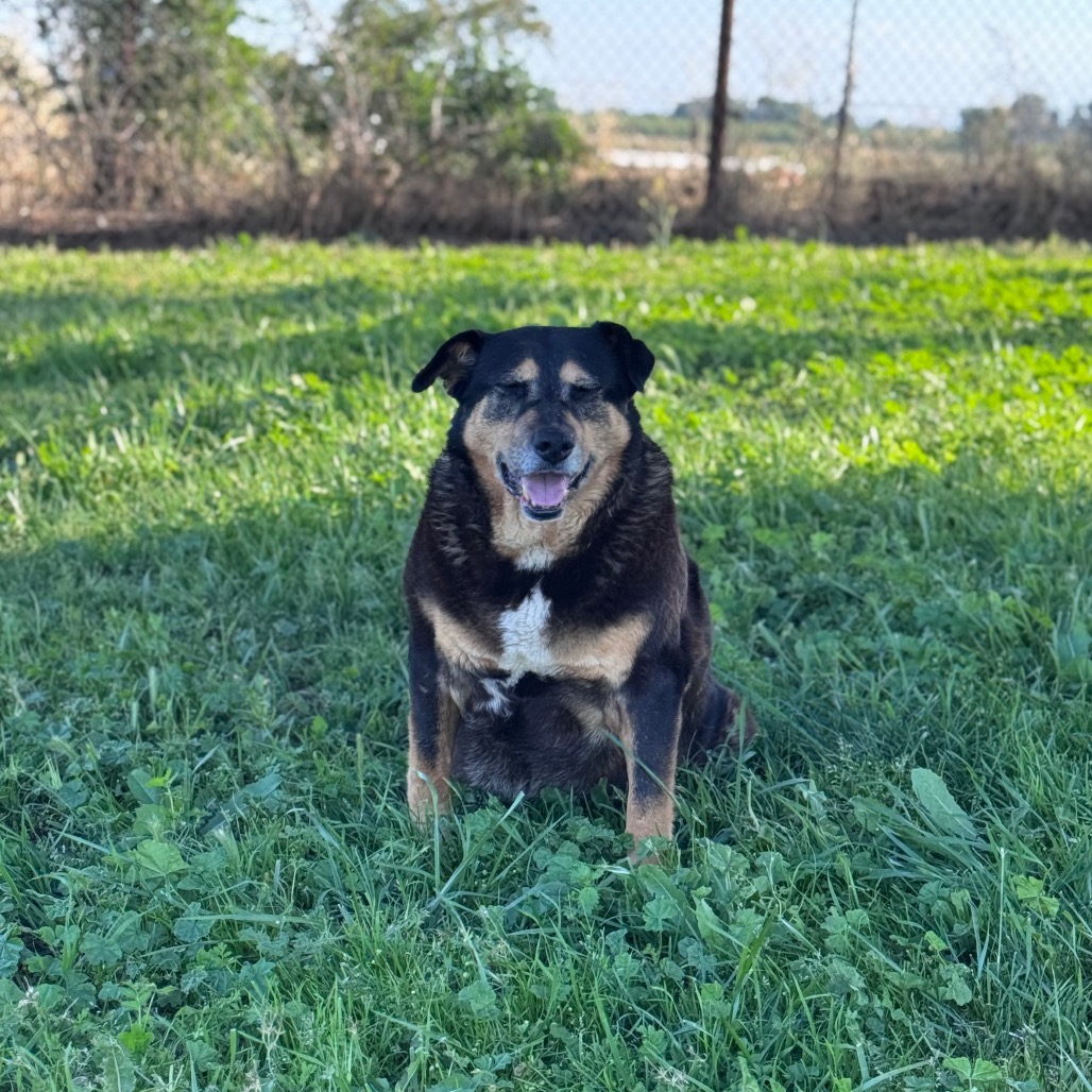 Ramona, photo 8