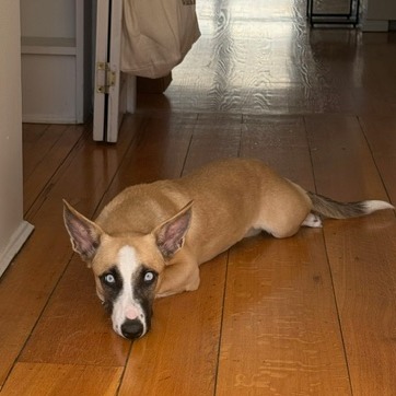 LILAH, photo 11