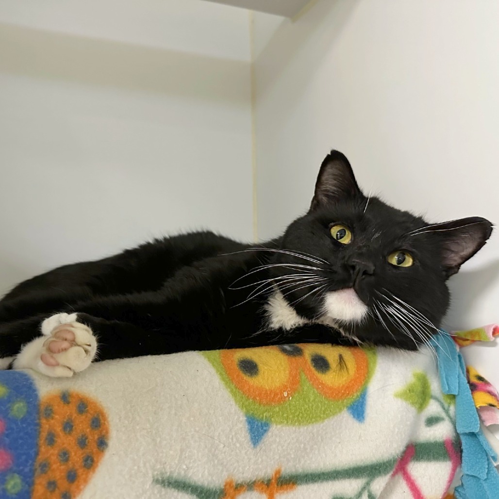 Johnny — thumbnail 3