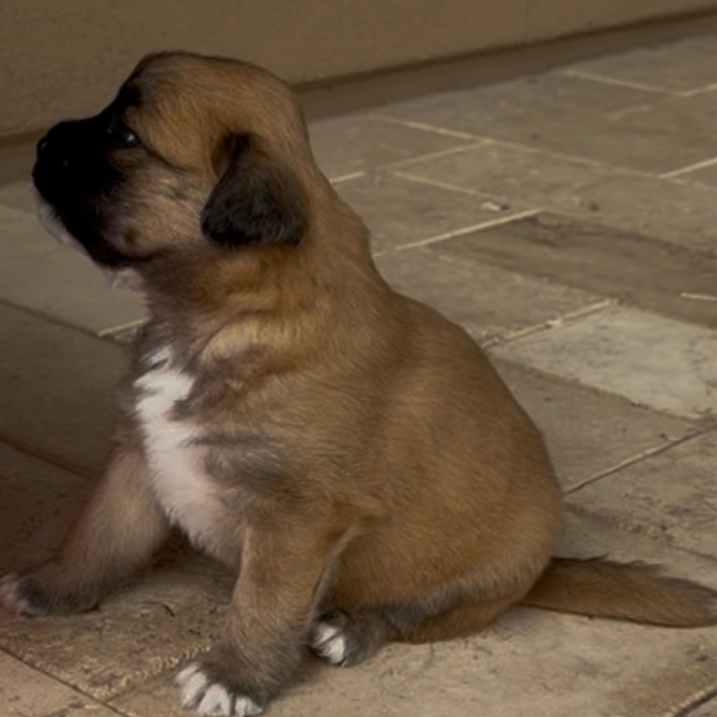 Donna’s Baby Boy, photo 2