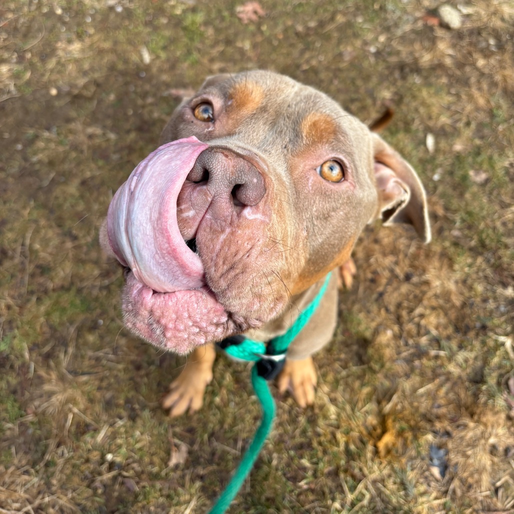 Flynn Ryder — thumbnail 4