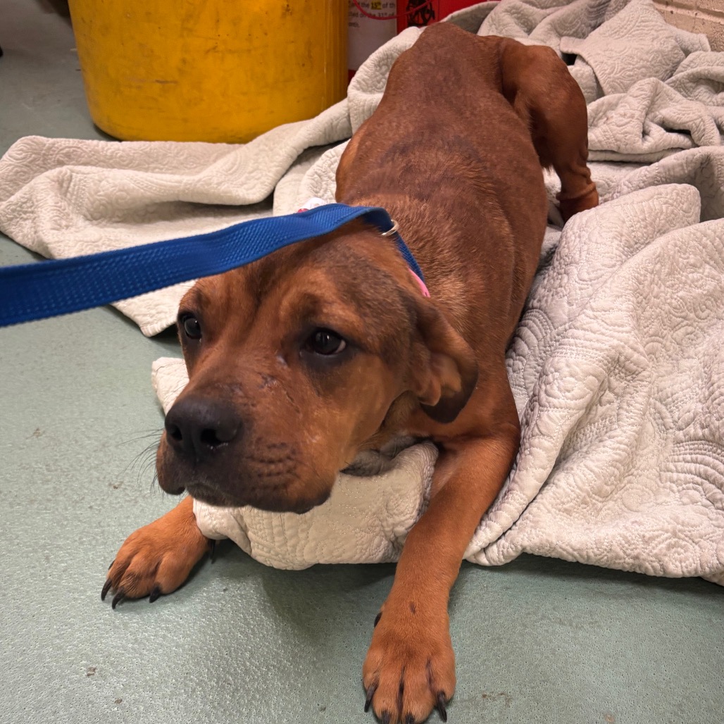 Debra — thumbnail 8