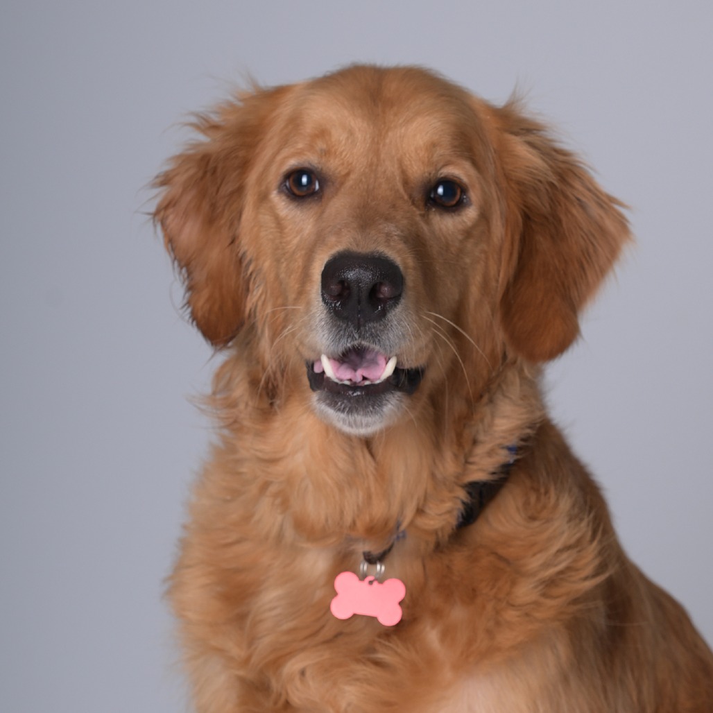 Darby