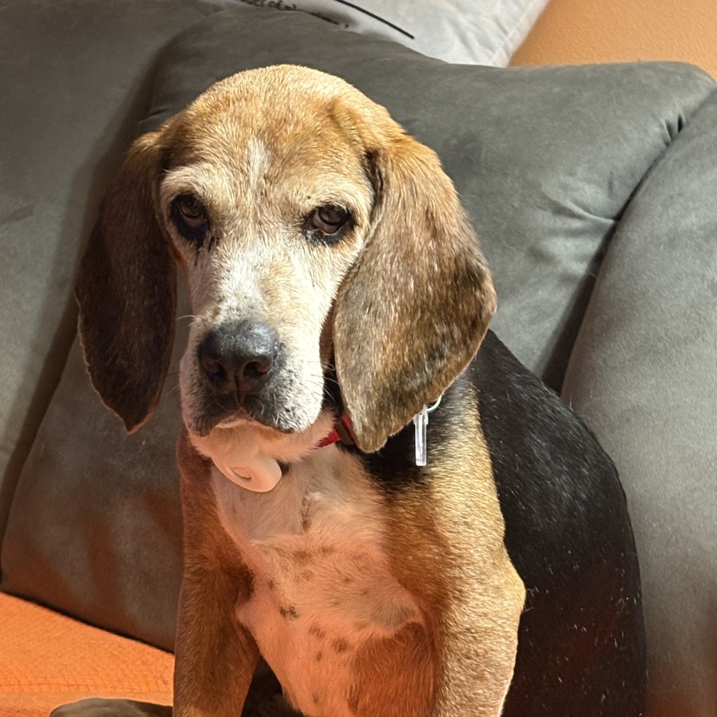 Mildred, photo 8