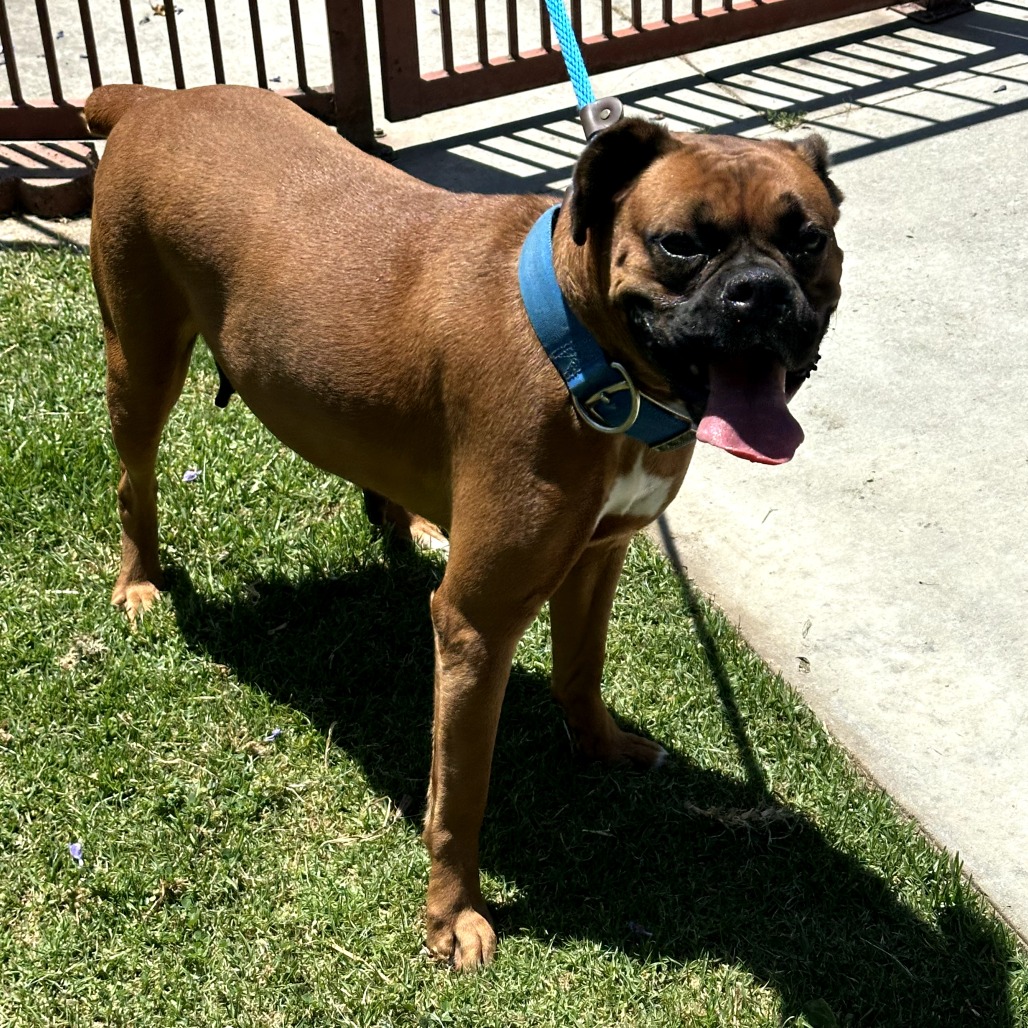 ROUSEY, photo 3